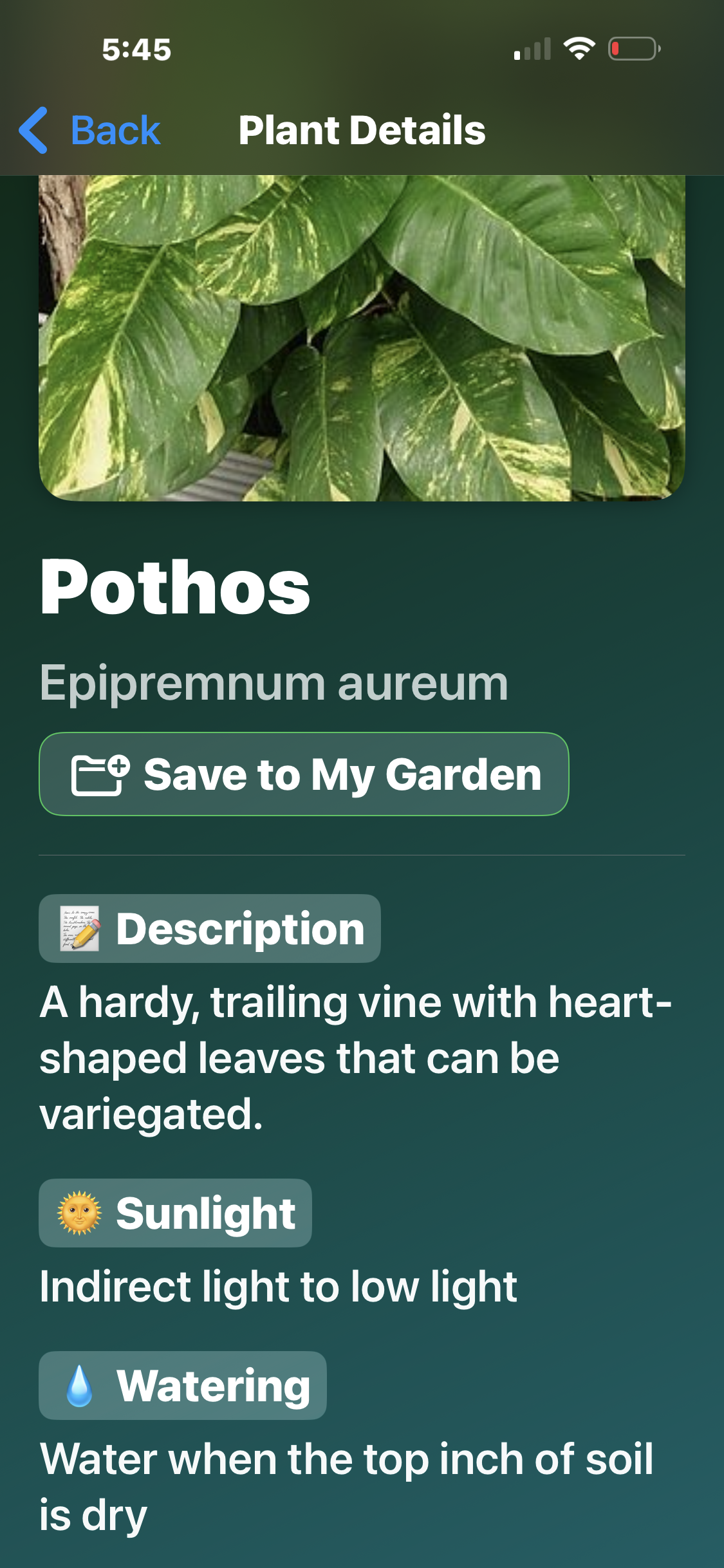 PlantIDAI plant detail view